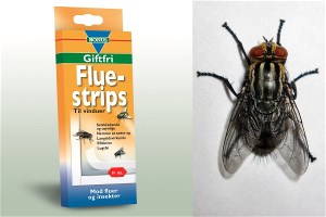 4064 Flue Strips til vinduer, giftfri 4064 Flue Strips til vinduer, giftfri