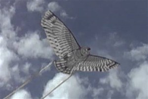 3518 Ugle skræmmedrage 3518 Ugle skræmmedrage