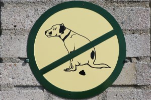 6053 'Hundeskidning forbudt!' skilt